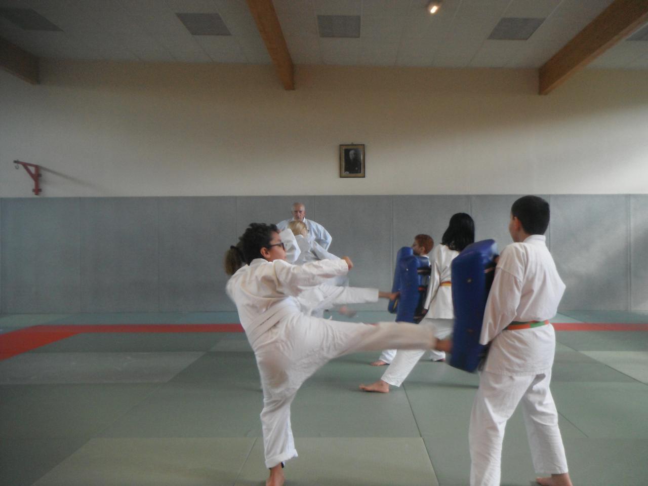 Karaté 728