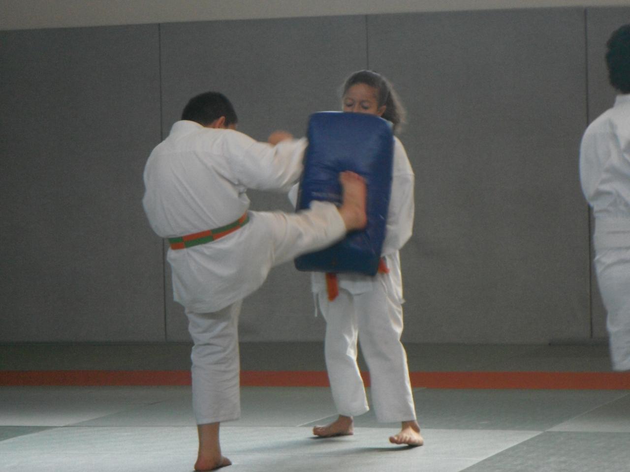 Karaté 744