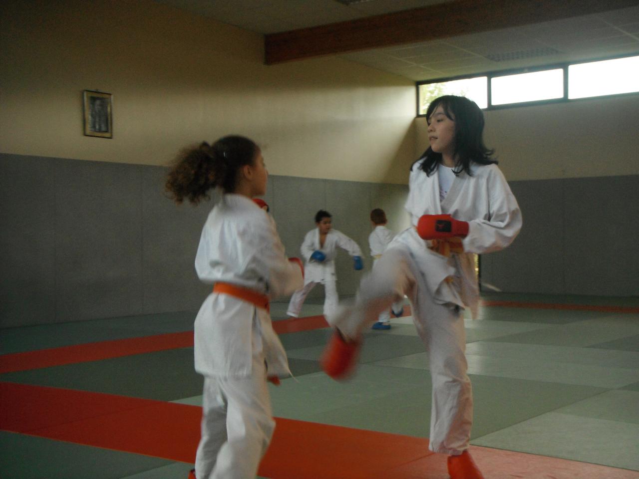 Karaté 752